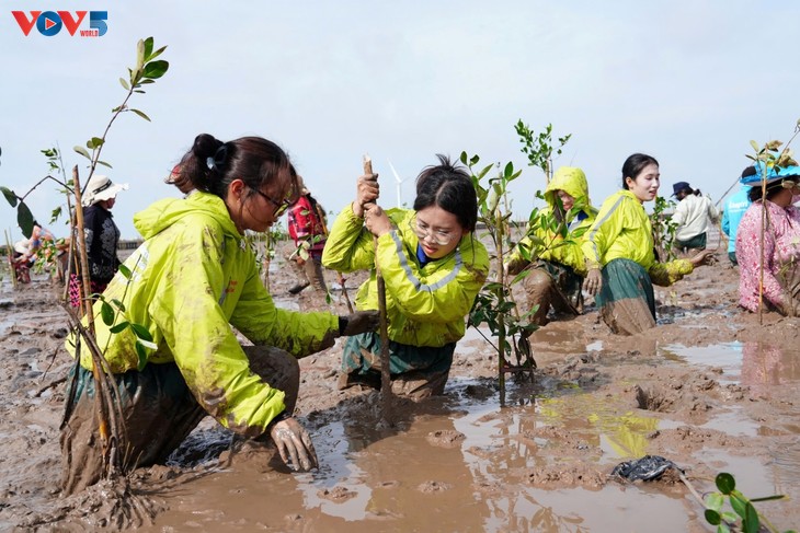 More than 2,000 trees planted in Can Tho under “For a green Vietnam” program - ảnh 1