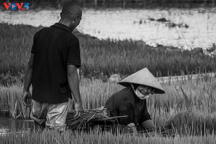 À la découverte de Ninh Binh  - ảnh 5