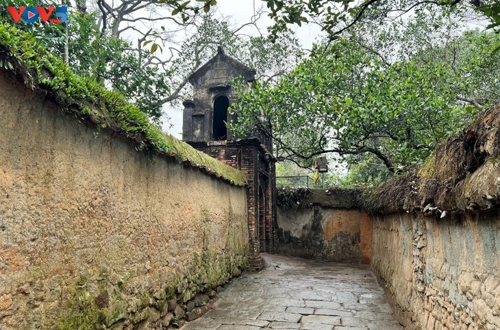 La pagode Bô Dà, qui abrite le plus grand jardin de stupas du Vietnam - ảnh 9