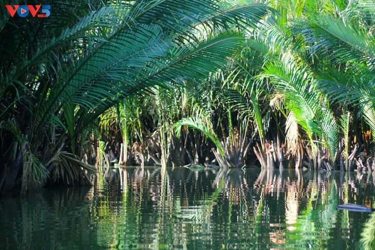 Bay Mâu - un “petit delta du Mékong” au cœur de Hôi An - ảnh 8