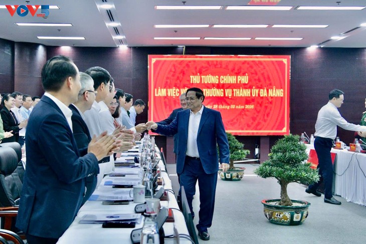 Pham Minh Chinh travaille avec la permanence du Comité du Parti de Dà Nang - ảnh 1