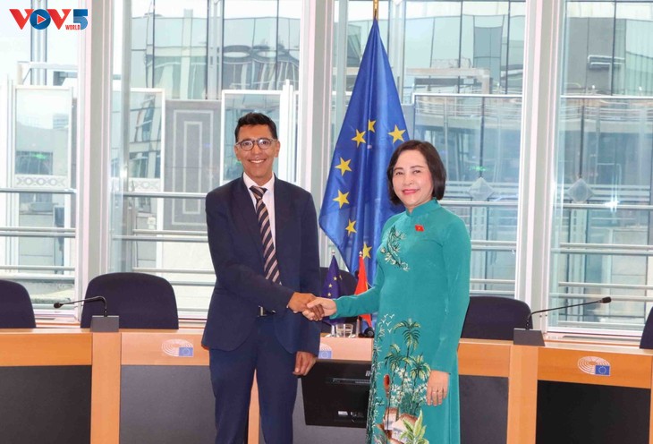 NA Vice Chairwoman discusses Vietnam’s cooperation with EU, Belgium  - ảnh 1
