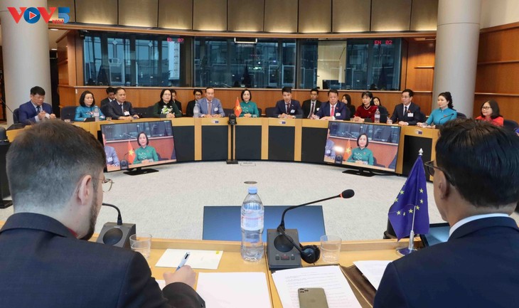 NA Vice Chairwoman discusses Vietnam’s cooperation with EU, Belgium  - ảnh 2