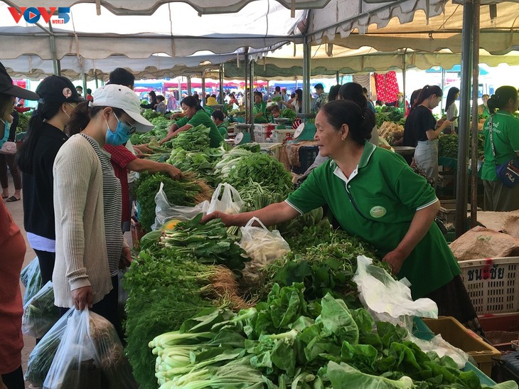 ລາວ ເລີ່ມ​ຕົ້ນ​ໂຄງ​ການ​ພັດ​ທະ​ນາກຳ​ລັງ​ຄວາມສາ​ມາດ​​ດ້ານກະ​ສິ​ກຳ - ảnh 1