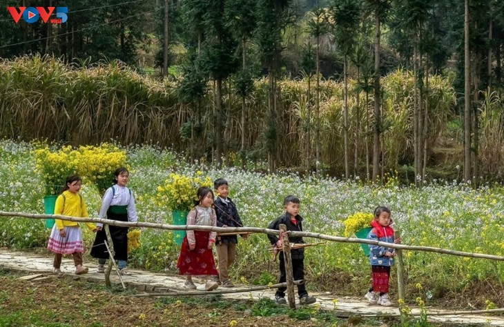 ລະດູບານໃໝ່ - ຊ່ວງເວລາທີ່ສວຍງາມທີ່ສຸດໃນປີຂອງຮ່າຢາງ - ảnh 9