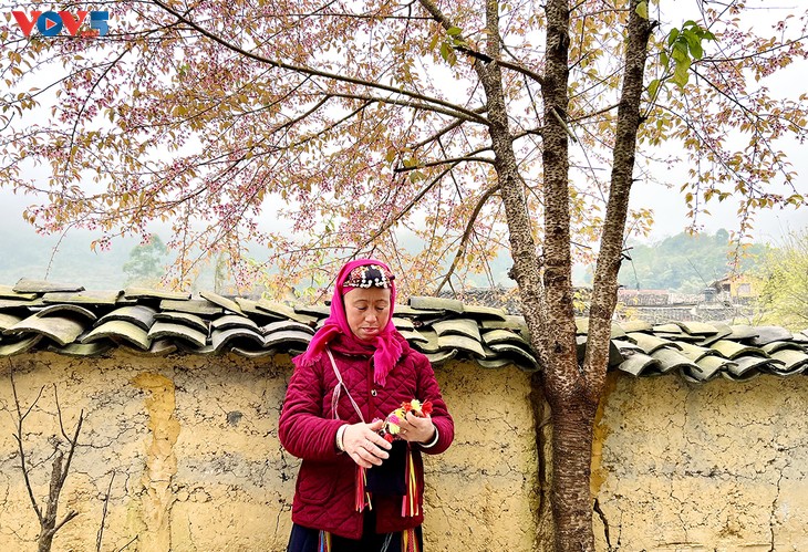 Peach blossoms tint highland villages pink - ảnh 5