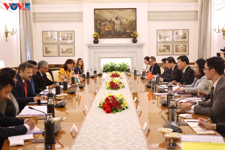 Vietnam, India hold political consultation, strategic dialogue - ảnh 1