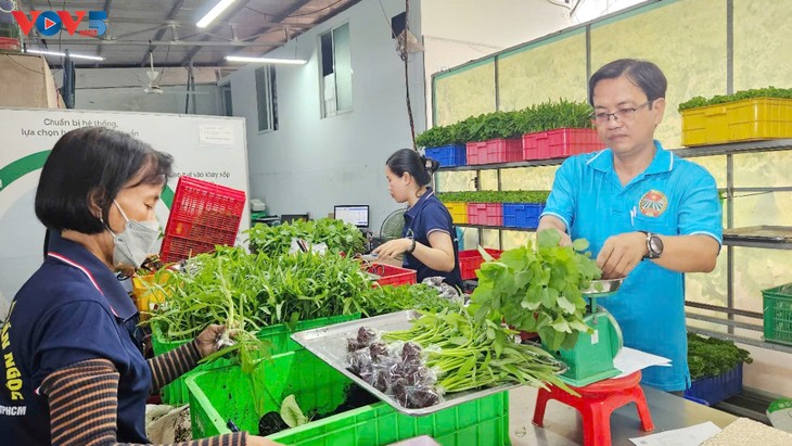 Ho Chi Minh City pioneers modern path for OCOP products - ảnh 1