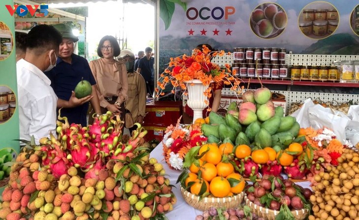 Son La driving rural prosperity with OCOP - ảnh 2