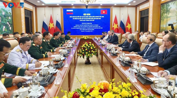 Vietnam, Russia ramp up maritime cooperation - ảnh 1