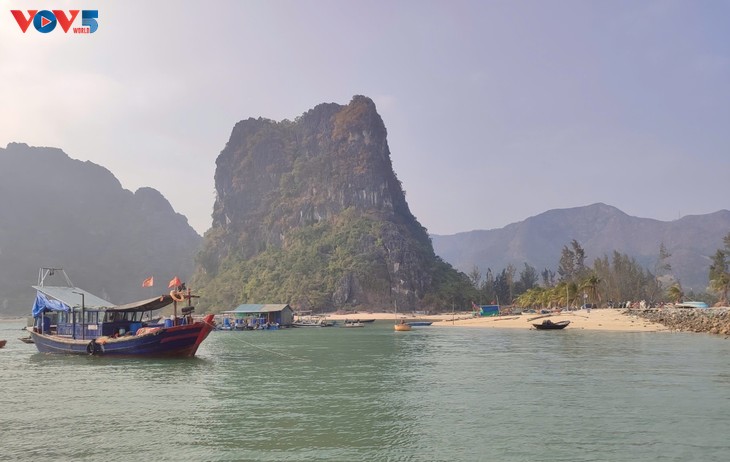 Vinh Long, Quang Ninh, Thanh Hoa accelerate IUU fishing crackdown - ảnh 2