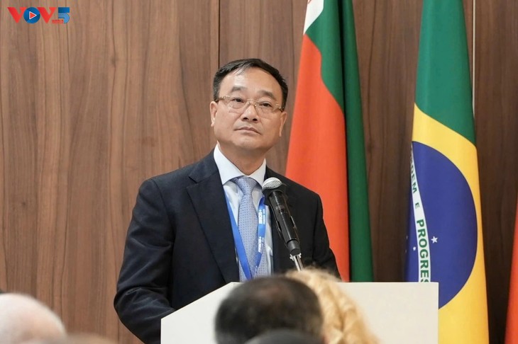 Vietnam shares anti-terrorism cooperation orientation with BRICS  - ảnh 1