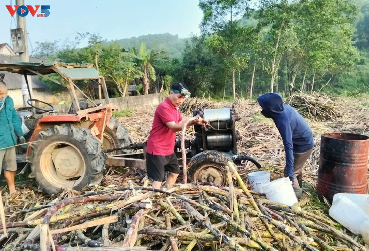 Half-century sugarcane molasses village keeps sweet tradition alive in Ha Tinh  - ảnh 2