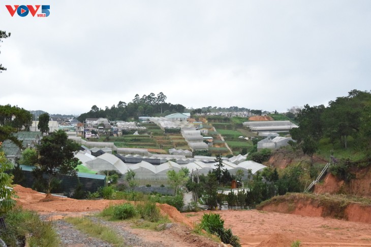 Zoom sur Dà Lat, capitale agricole du Vietnam - ảnh 9