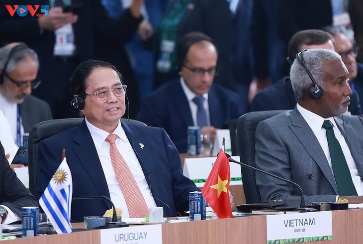 チン首相 BRICS首脳会議で環境と世界の保健に関する提案を発表 - ảnh 1