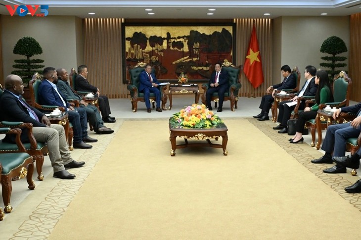 チン首相、ソロモン諸島のアゴヴァカ外務・貿易大臣と会見 - ảnh 1