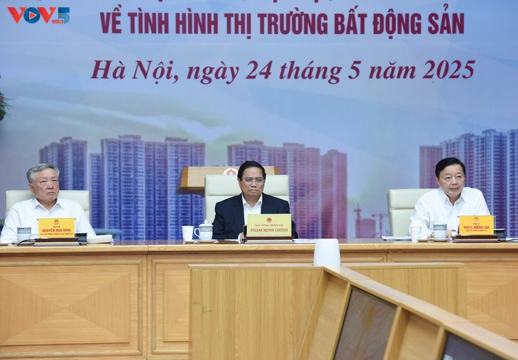 范明政要求实现住房市场多元化 - ảnh 1