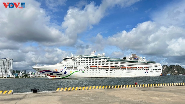 广宁接待1200多名邮轮游客 - ảnh 1