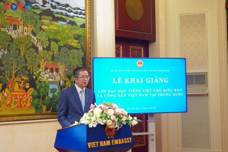 首个面向旅华越南人的越南语网络课程开课 - ảnh 1