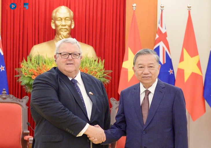 苏林会见新西兰议会议长布朗利 - ảnh 1