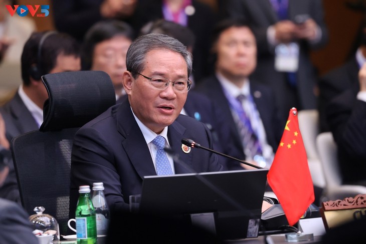 范明政出席东盟与中日韩领导人会议 - ảnh 3