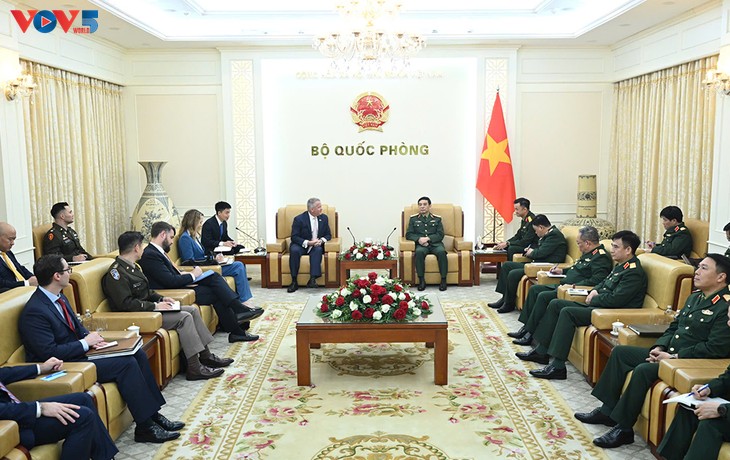 Verteidigungszusammenarbeit zwischen Vietnam und den USA wirksam umgesetzt - ảnh 1