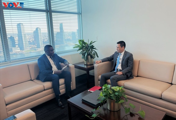 UNO schätzt wichtige Rolle Vietnams bei Anpassung an den Klimawandel - ảnh 1