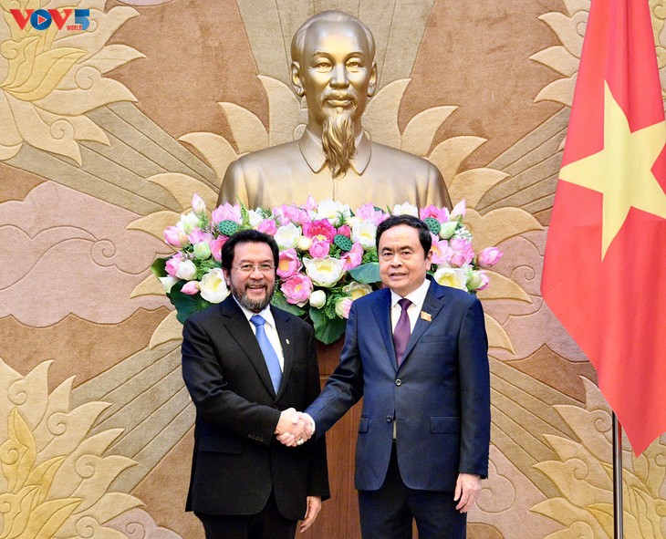 Ketua MN Vietnam, Tran Thanh Man Menerima Wakil Ketua DPR RI - ảnh 1