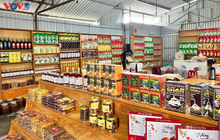 Datang ke Da Lat, Provinsi Lam Dong untuk Merasakan Pengalaman Memetik Stroberi - ảnh 5