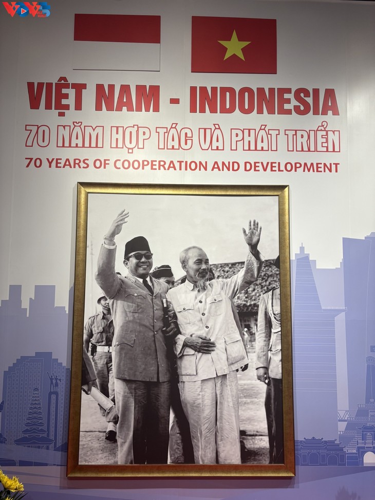 Vietnam-Indonesia: 70 Tahun Kerja Sama demi Kemakmuran dan Solidaritas Masyarakat - ảnh 4