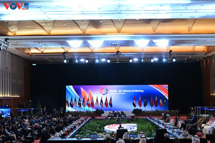 Việt Nam đóng góp tích cực cho sự lớn mạnh của ASEAN - ảnh 2