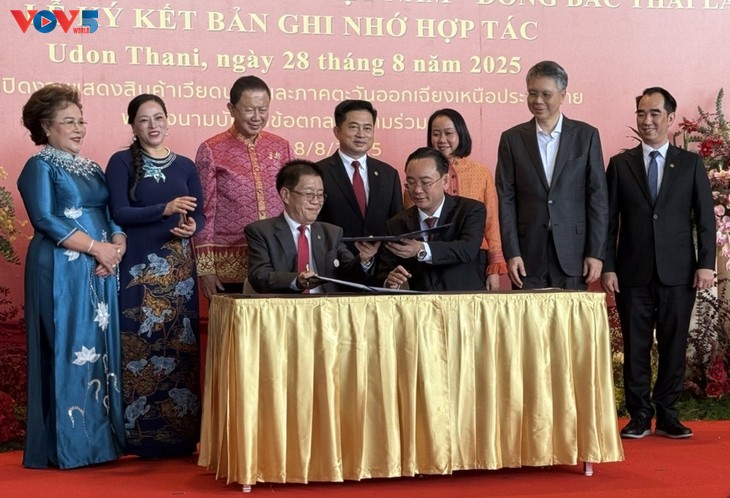 Việt Nam - Thái Lan tăng cường hợp tác kinh tế trong kỷ nguyên mới - ảnh 1