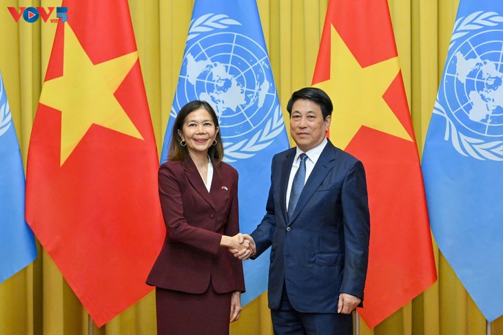 Chủ tịch nước Lương Cường tiếp Điều phối viên thường trú LHQ và các Trưởng đại diện các tổ chức LHQ tại Việt Nam - ảnh 1