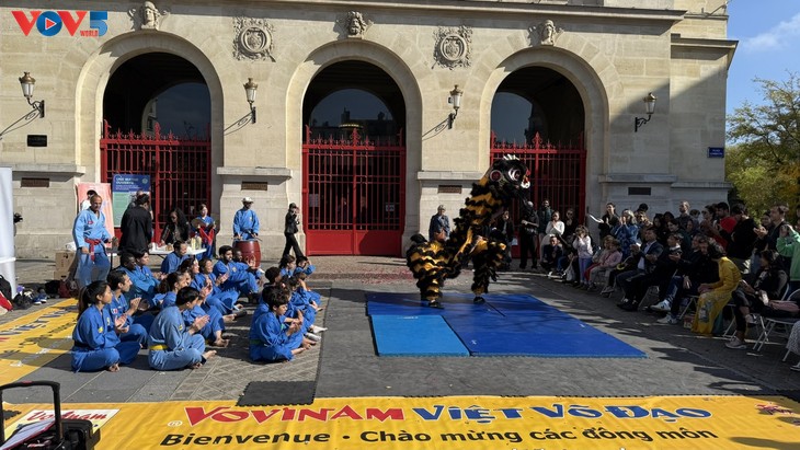 Vovinam - Việt Võ Đạo tiếp tục phát triển rực rỡ trên đất Pháp - ảnh 1