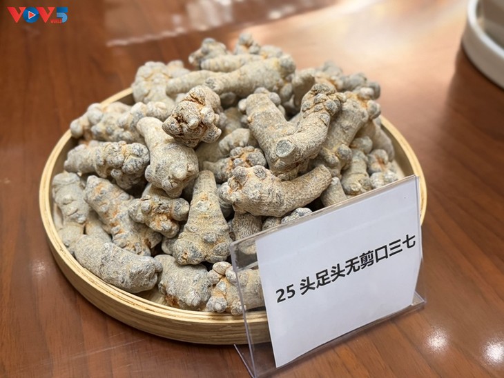 Khai mạc Lễ hội Tam thất Văn Sơn lần thứ 11 và Tuần lễ giao lưu, hợp tác Trung - Việt (Văn Sơn) năm 2025 - ảnh 5