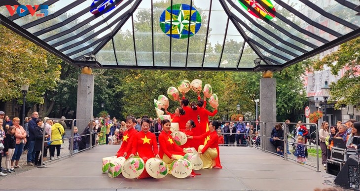 Vietnamese culture showcased on Slovakia’s Asia Day  - ảnh 2