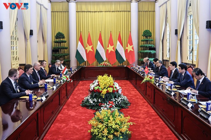 Vietnamese and Hungarian presidents hold talks  - ảnh 1