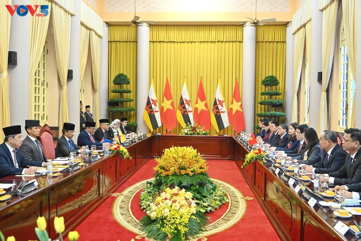Vietnam, Brunei issue joint statement, sign cooperation documents - ảnh 2