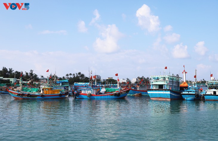 Quang Ngai tightens control over IUU fishing during Tet holiday - ảnh 2