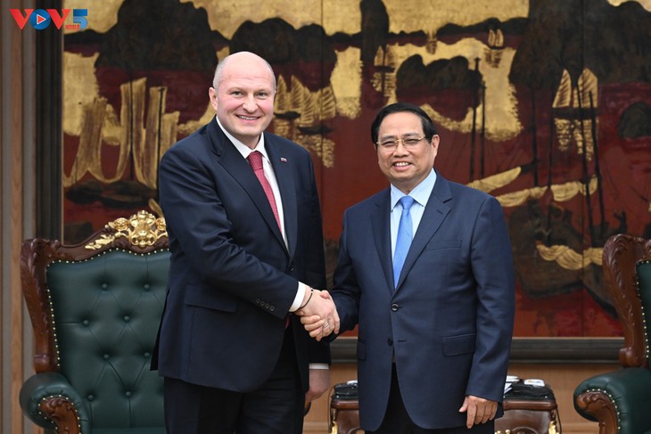 Vietnam, Russia ramp up cooperation in rescue and relief operations - ảnh 1