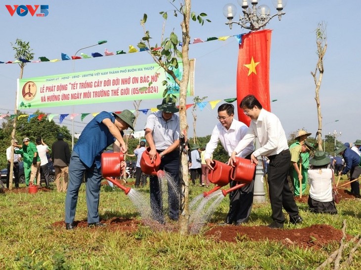 Nhiều hoạt động hưởng ứng Ngày Môi trường thế giới 2024 - ảnh 11