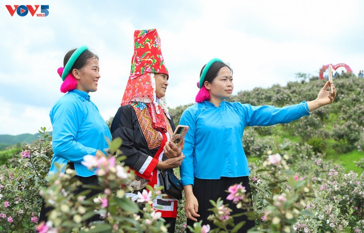 Lên biên cương Đông Bắc ngắm bạt ngàn sắc tím hoa sim - ảnh 10