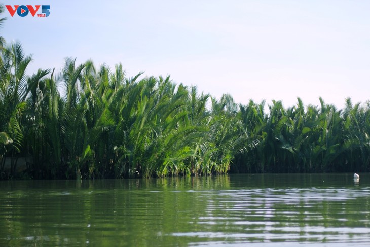 Rừng dừa Bảy Mẫu – “miền Tây thu nhỏ” giữa lòng phố Hội  - ảnh 4