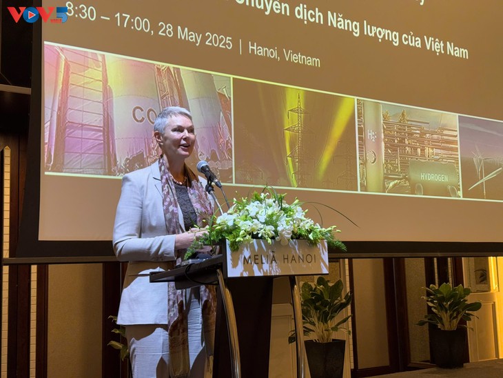 Việt Nam – Na Uy tăng cường hợp tác trong lĩnh vực chuyển dịch năng lượng - ảnh 2