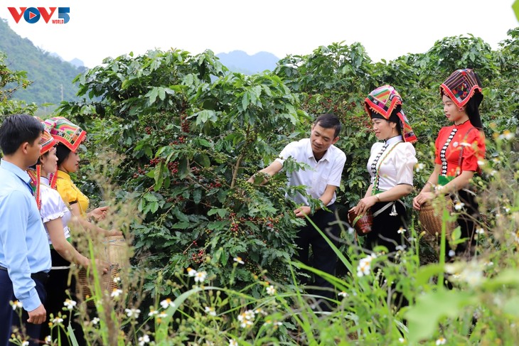 Nông nghiệp Sơn La tìm hướng đi bền vững cho ngành Cà phê - ảnh 2