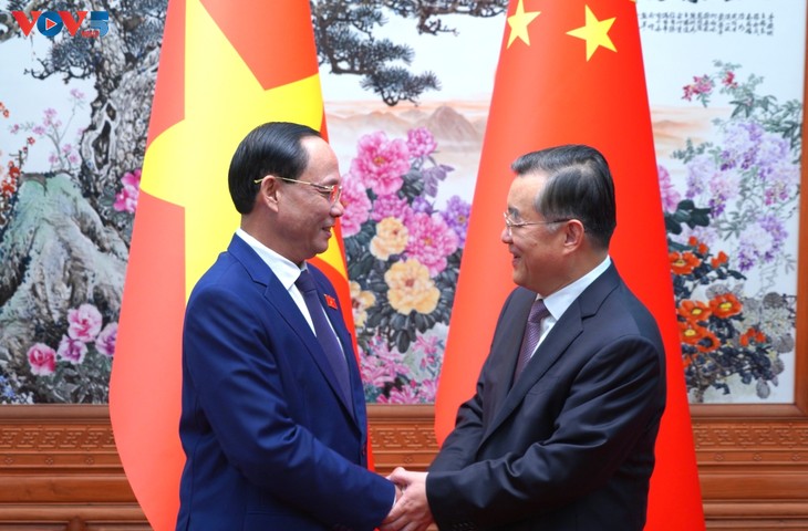 Làm sâu sắc hơn nữa quan hệ hợp tác giữa Quốc hội Việt Nam và Nhân đại Toàn quốc Trung Quốc - ảnh 1