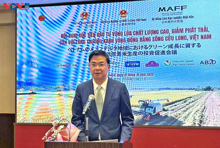 Xây dựng vùng lúa chất lượng cao, giảm phát thải, gắn với tăng trưởng xanh ở Đồng bằng sông Cửu Long - ảnh 3