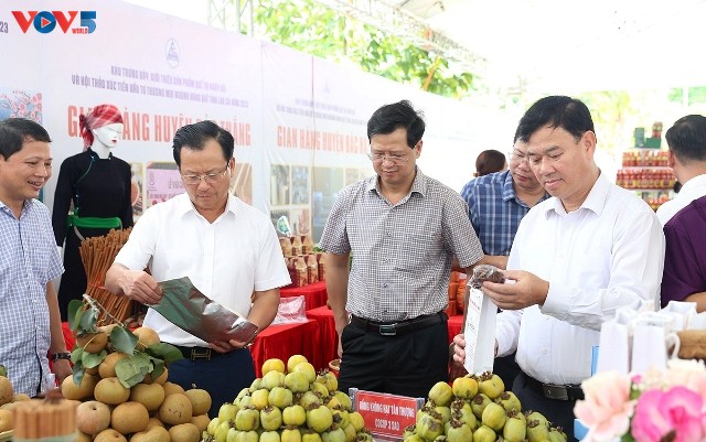 Tuần văn hóa - du lịch huyện Bảo Yên, tỉnh Lào Cai - ảnh 2