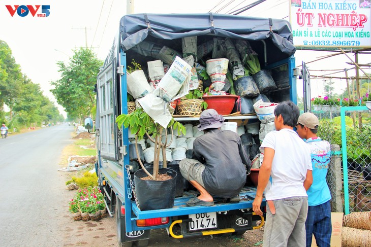 Sắc xuân tràn ngập làng hoa Sa Đéc - ảnh 10