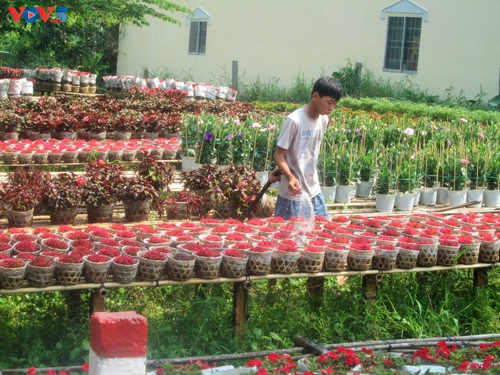 Sắc xuân tràn ngập làng hoa Sa Đéc - ảnh 6